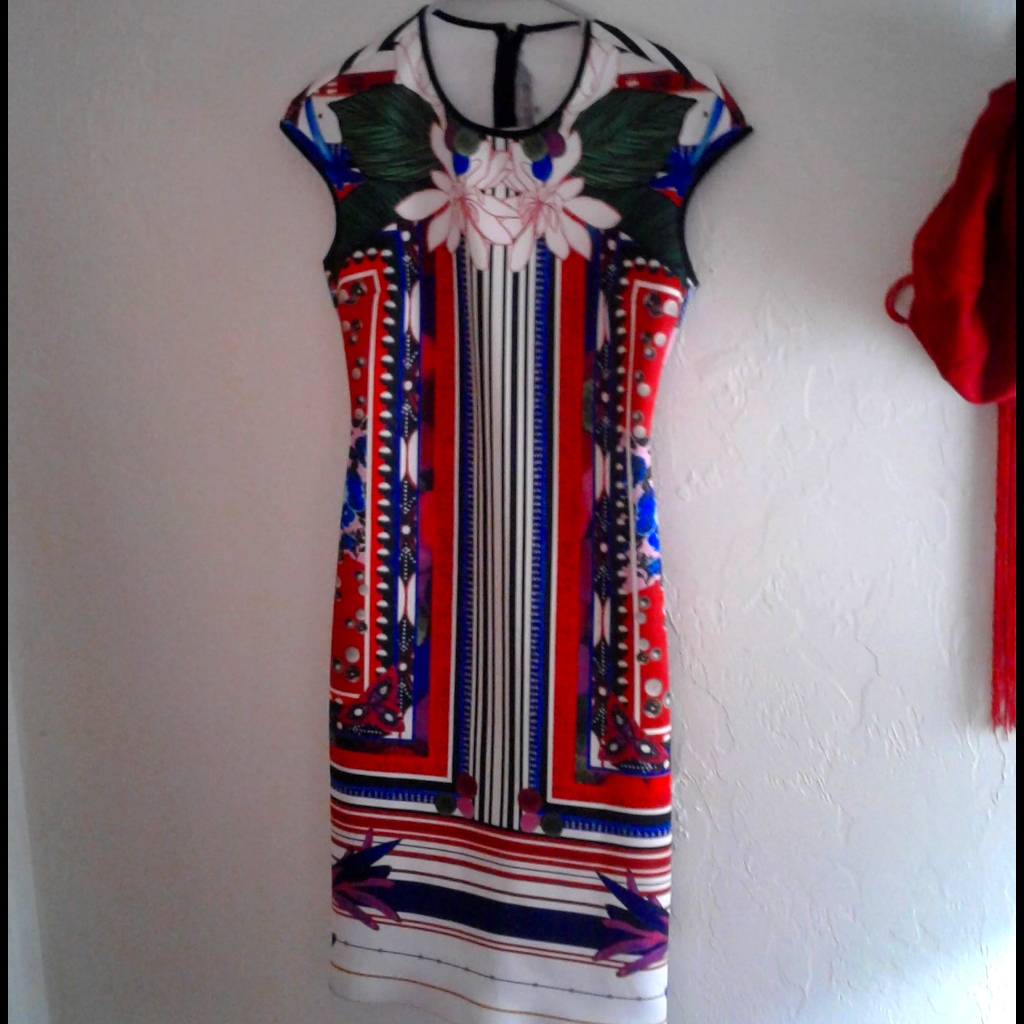Clover Canyon Rare Print Small Dress